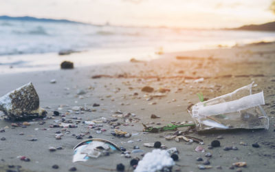 Plastic waste discussion